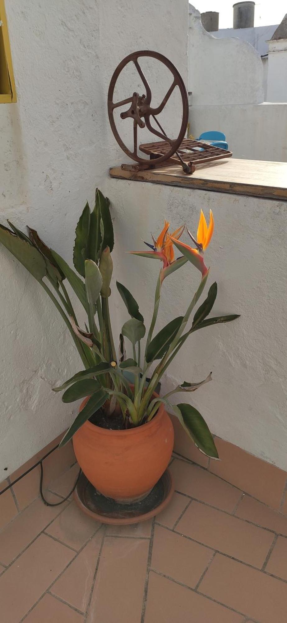 Atico En La Candelaria Cádiz Kültér fotó